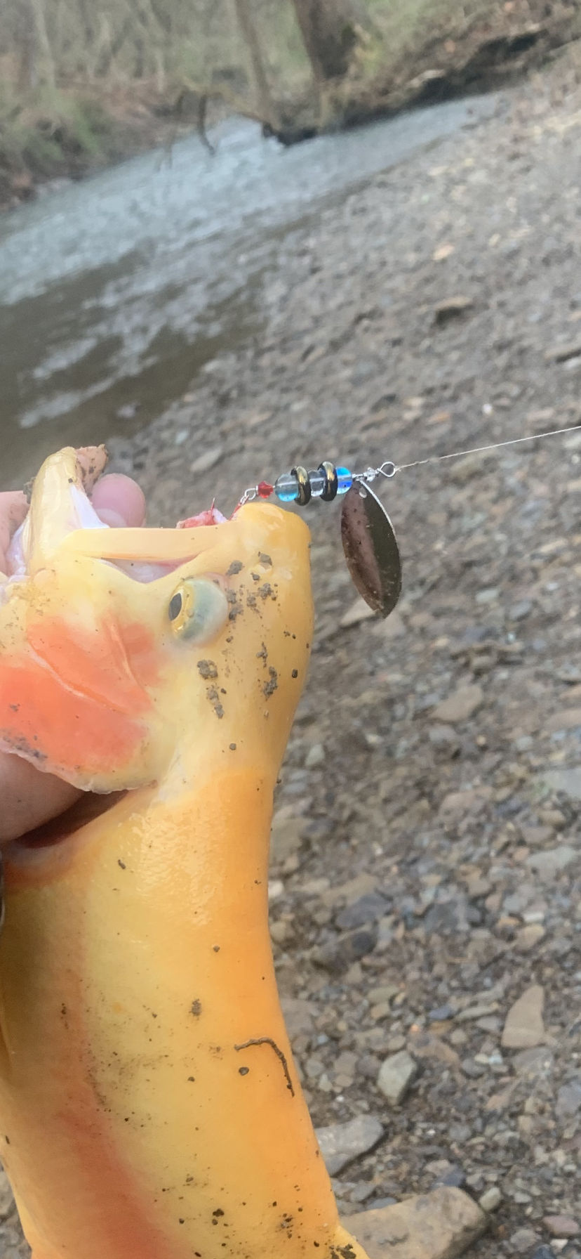 The Jalapeño Popper